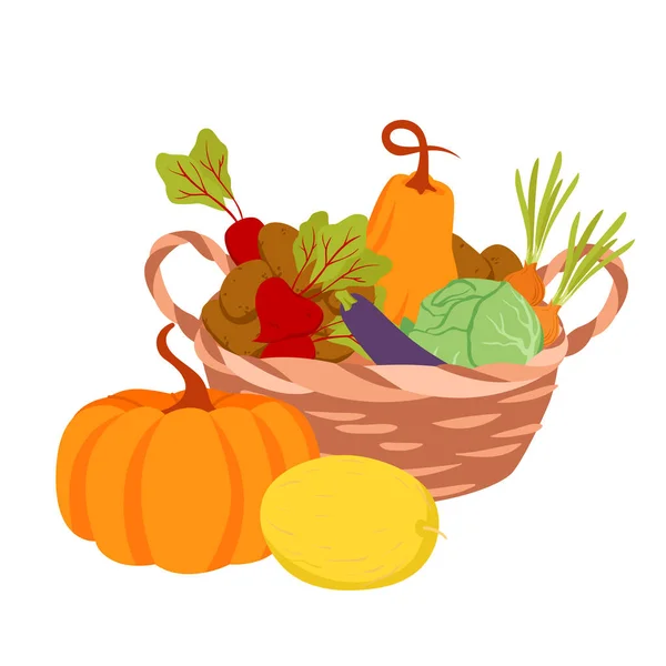 柳条篮中的有机蔬菜，甜瓜南瓜土豆洋葱收获桶 — 图库矢量图片