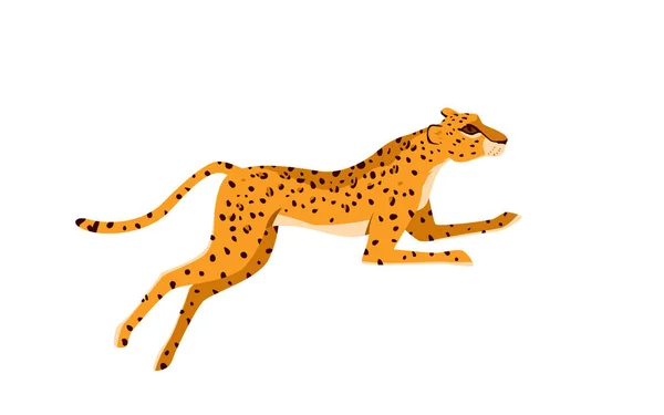 Leopard running on African savannah, wild fast animal hunting for prey, predator chasing — Stock Vector
