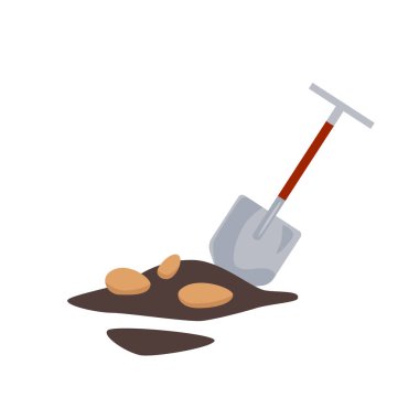 Kürekle patates hasat ediyorum.