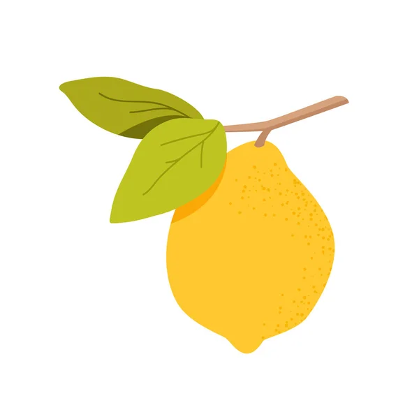 Citron hängande på kvist med grönt blad, ekologisk färsk citrusfrukt på sommarträdgren — Stock vektor