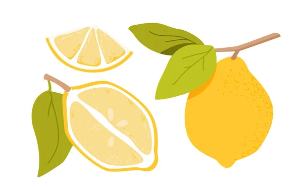 Set di frutta al limone su ramo con foglie — Vettoriale Stock