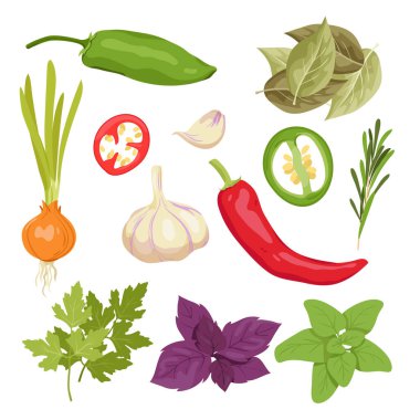 Farklı yemek aromalı baharatlar. Yemek pişirmek için bitkiler ve sebzeler, çeşitli aromatik malzemeler, biber ve maydanoz yaprakları, soğan ve sarımsak, özel tat vektörü çizimi