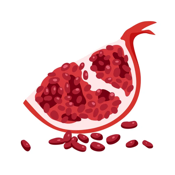 Piece Raw Pomegranate Fruit Spherical Red Gelatinous Flesh Fruits Exotic — Vector de stock