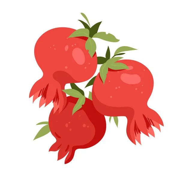Pomegranate Fruits Leaves Exotic Tropical Fresh Fruit Red Spherical Juicy — Vector de stock