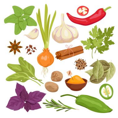 Baharatlar vektör illüstrasyonunu belirler. Çizgi film Asya baharatlı kuru acı ve tatlı biber tozu, tohum ve taze bitkiler pişirmek için organik sebzeler, mutfakta baharatlı yiyecekler.