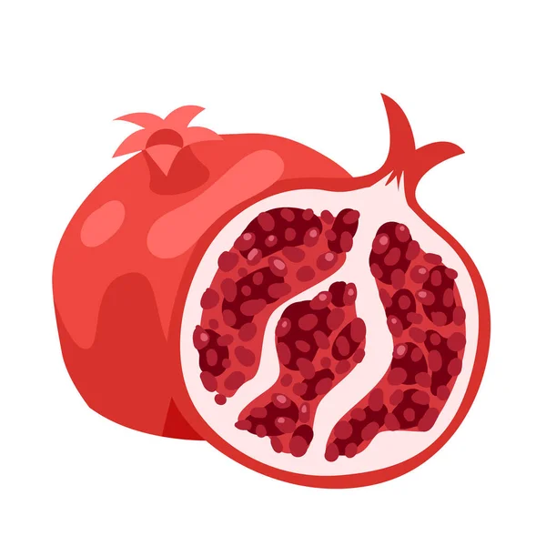 Pomegranate Red Sweet Summer Fruit Vector Illustration Cartoon Isolated Whole — Wektor stockowy