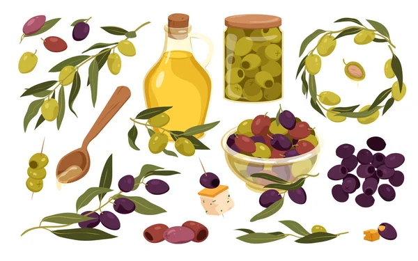 Set Olives Fruit Natural Jug Oil Green Black Olives Leaves — 图库矢量图片