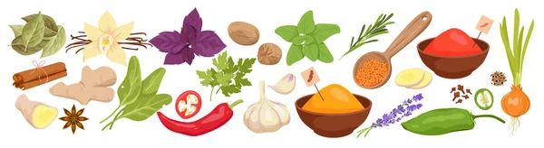 Wide Set Cuisine Spices Food Condiments Kitchen Herbs Powder Aromatic — Archivo Imágenes Vectoriales
