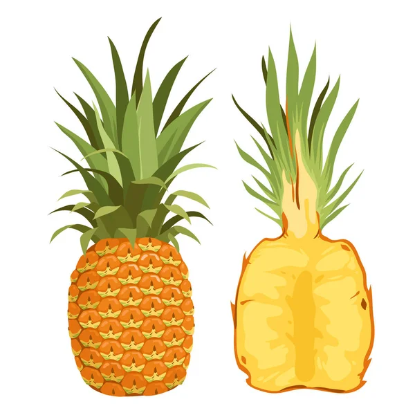 Whole Half Pineapple Exotic Tropical Fruit Fresh Prickly Pineapple Vector — Vector de stock