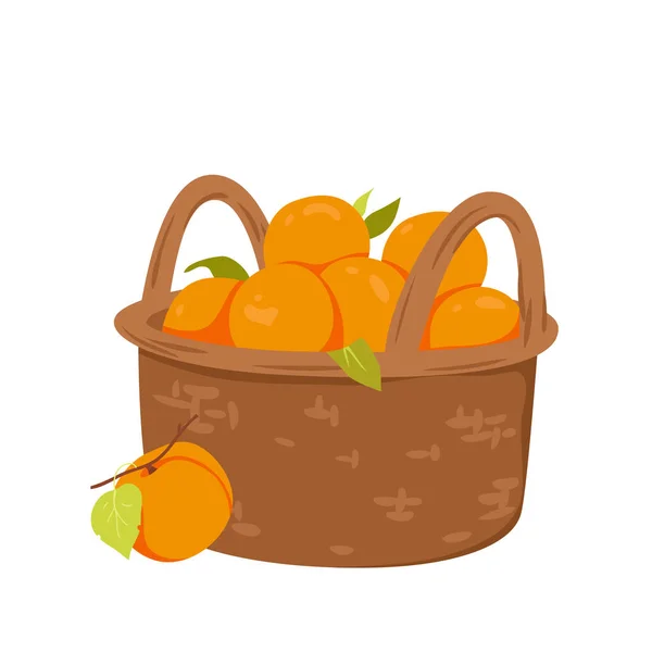 Apricot Basket Vector Illustration Cartoon Isolated Wicker Box Apricot Peach — Διανυσματικό Αρχείο