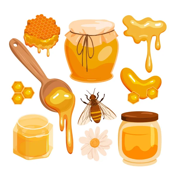 Bee Honey Set Vector Illustration Cartoon Isolated Gold Drops Organic —  Vetores de Stock