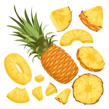 Taze ananas seti vektör çizimi. Çizgi film tüm meyveyi sarı hamurla izole etti, kahverengi desenli ve yeşil yapraklı kabuk, dilimlere ayrılmış lezzetli ananas, halka ve parçalar, üçgen bölümler