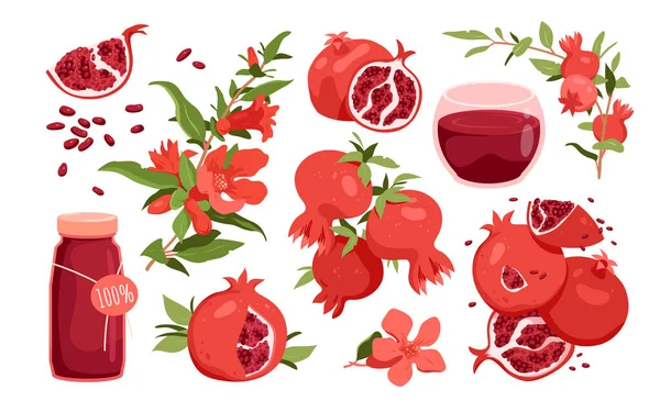 Pomegranate Set Vector Illustration Cartoon Isolated Tropical Plant Branch Leaf — Image vectorielle