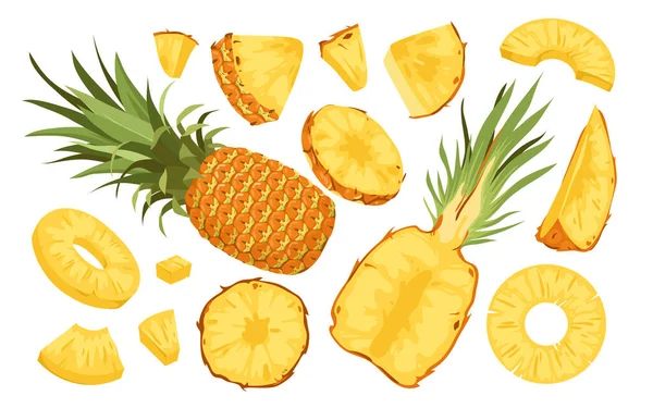 Wide Set Pineapple Fruit Whole Prickly Pineapple Half Slices Pineapple — Stock Vector