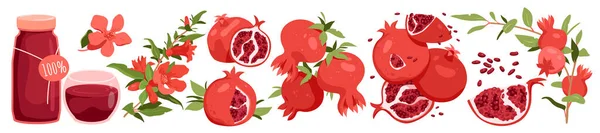 Wide Set Pomegranate Fruit Antioxidant Red Juice Juicy Flesh Seeds — ストックベクタ