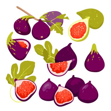 Figs, tropical fruit, plant and leaf set vector illustration. Cartoon isolated fresh whole fig, cut in half and slices, exotic sliced food product and botanical branch with organic natural harvest