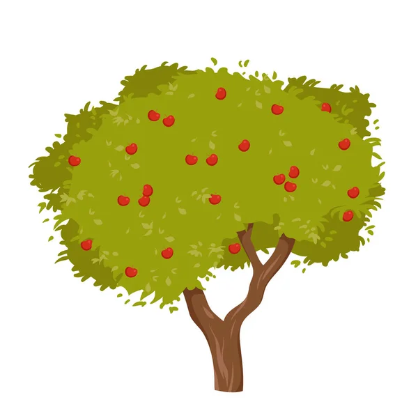 Apple Tree Red Fruit Green Foliage Summer Garden Vector Illustration — Stockvektor