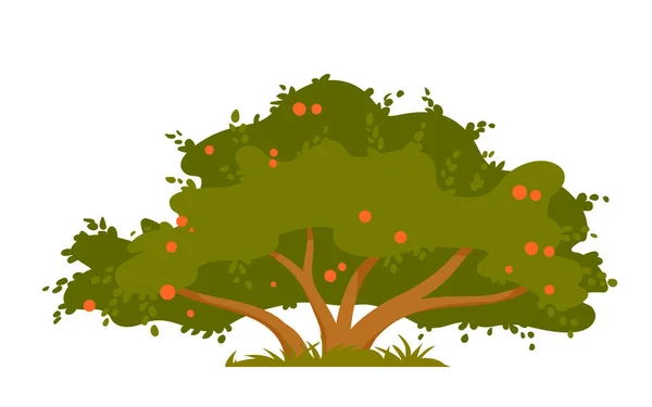 Berry Bush Red Fruit Green Leaves Branches Vector Illustration Cartoon — Stockvektor