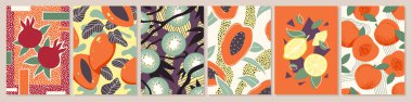 Tropical fruit patterns set vector illustration. Abstract minimalist fashion poster, bright summer fruit background collection with fresh whole and half of peach papaya mango pomegranate kiwi lemon