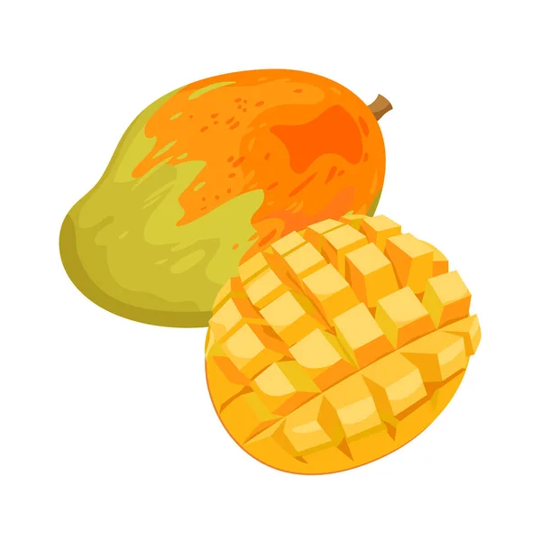 Whole Ripe Mango Cut Half Cubic Slices Vector Illustration Cartoon — Stockvector