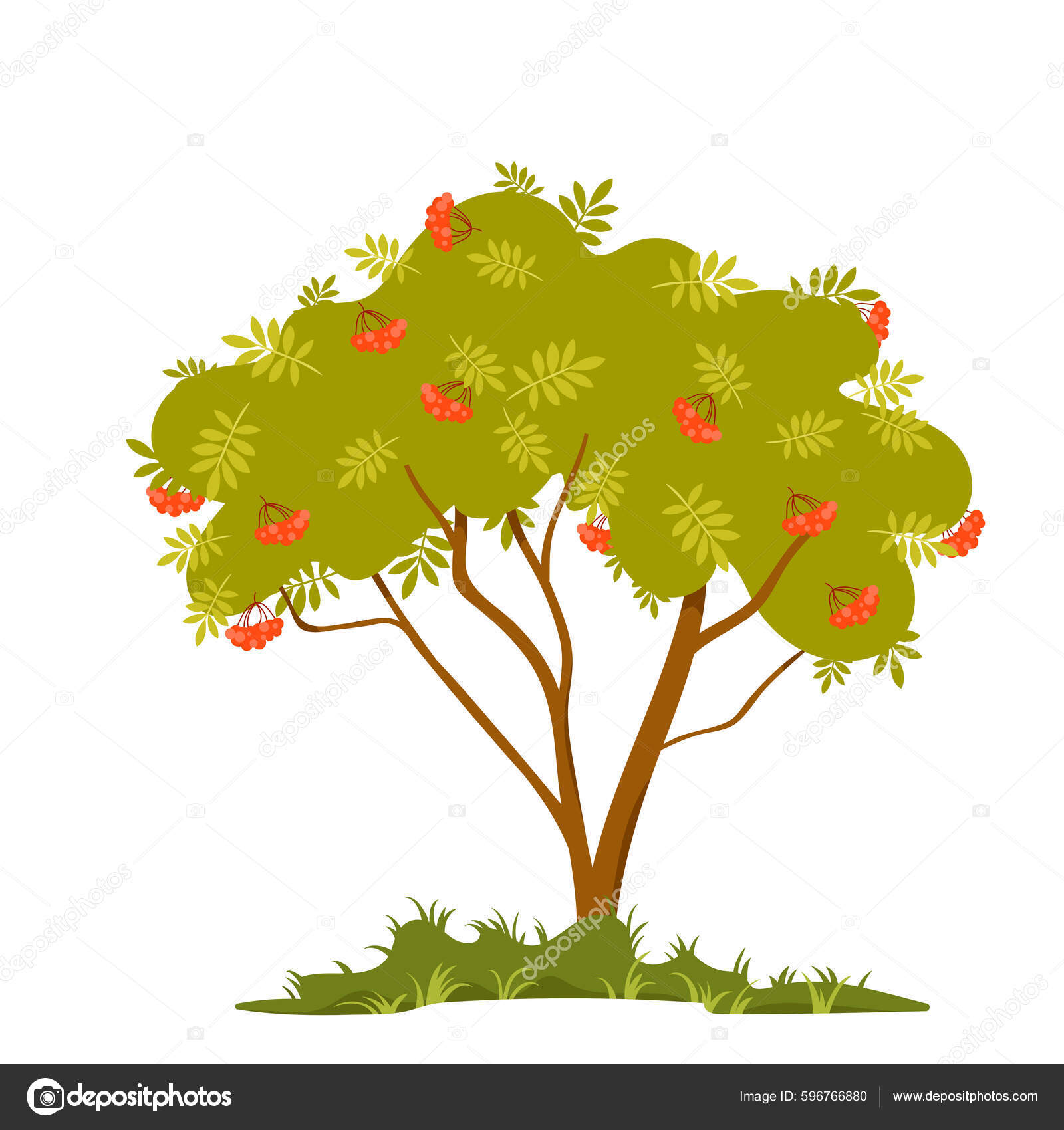 Viburnum Berry Bush Vector Illustration Cartoon Isolated Silhouette