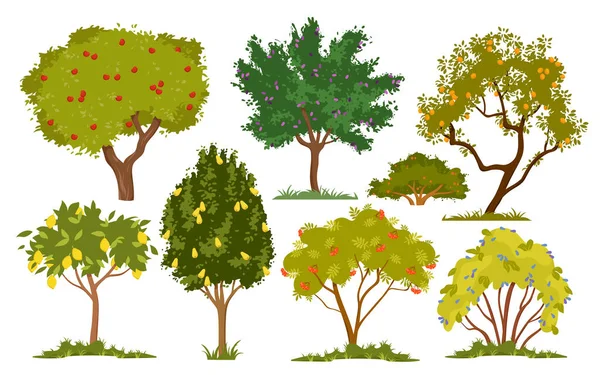 Garden Trees Bushes Fruits Berries Vector Illustration Cartoon Isolated Branches — Vettoriale Stock