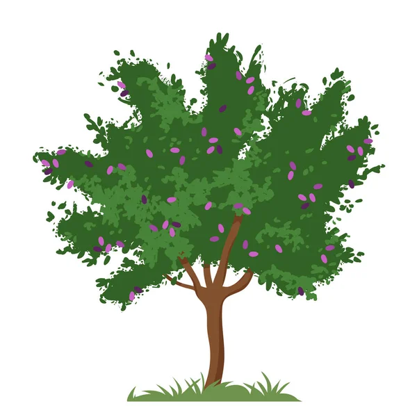 Plum Tree Growing Garden Vector Illustration Cartoon Isolated Tree Brown — Vetor de Stock