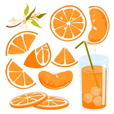 Slices of orange fruit. Oranges juice, natural vitamin c, healthy exotic fruit and drink vector illustration