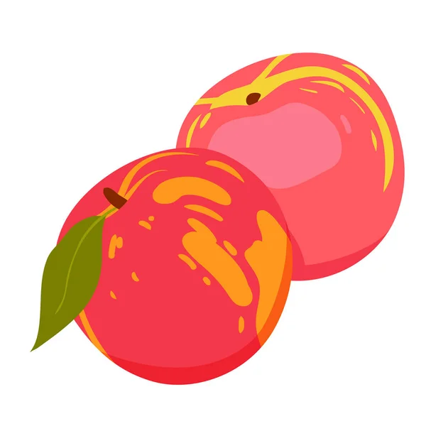 Whole Peaches Fruit Summer Natural Sweet Dessert Apricot Leaf Vector — Wektor stockowy