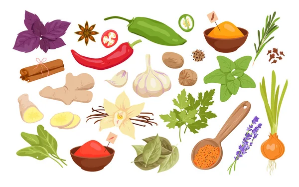 Spices Herbs Seeds Set Cooking Food Vector Illustration Cartoon Isolated — Stok Vektör