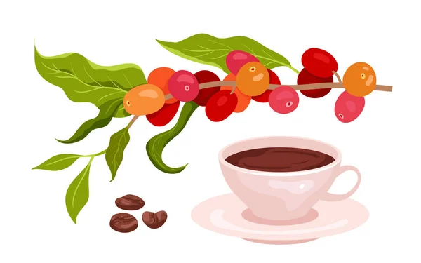 Cartoon Isolated Healthy Morning Drink Coffee Plant Plantation Brown Seeds — Stockvektor