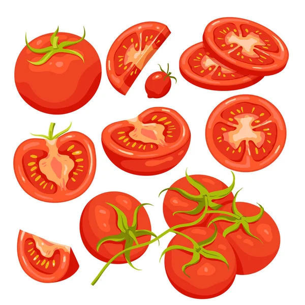 Tomato Set Cartoon Isolated Whole Organic Vegetable Green Leaf Cut —  Vetores de Stock