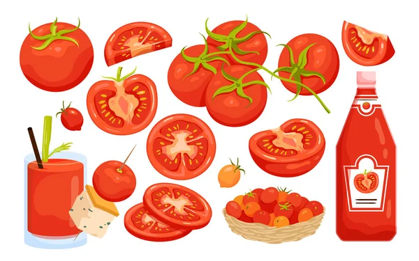 Комплект Помидоров Векторная Иллюстрация Пищевых Ингредиентов Мультфильм Изолирован Органический Овощ — стоковый вектор