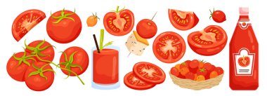 Cartoon isolated whole organic vegetable with green leaf, cut in half, wedges and slices, bottle of red ketchup and wicker plate with cherry tomatoes. Tomato set, food ingredient vector illustration