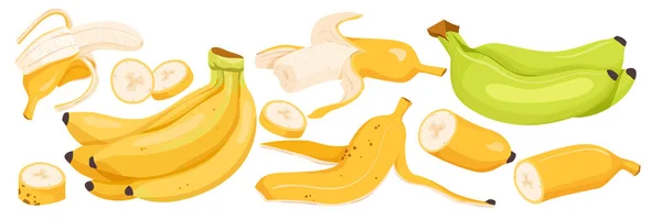 Banana Set Vector Illustration Cartoon Isolated Whole Cut Half Slices — Vetor de Stock