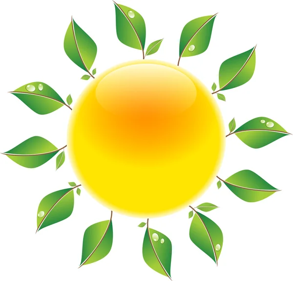 Sun with leaves — Stock Vector