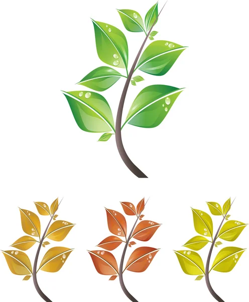 Branches of leaves — Stock Vector