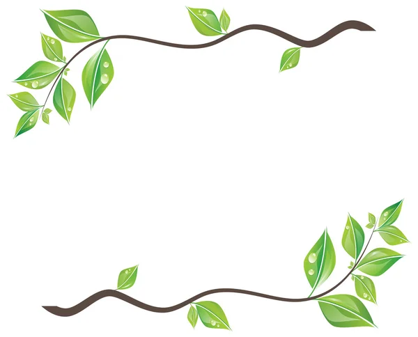 Branch of green leaves — Stock Vector