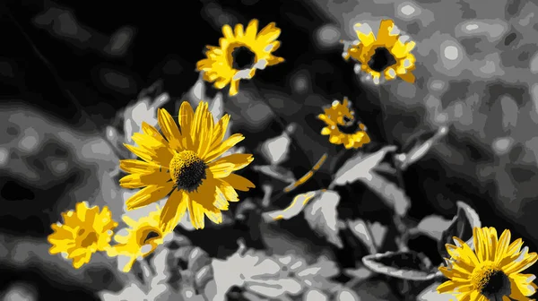 Flores Amarelas Backgr Preto — Fotografia de Stock