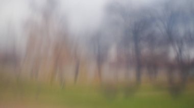 Ağaçların ve yolların bulanık siluetleri, tasarım için arkaplan