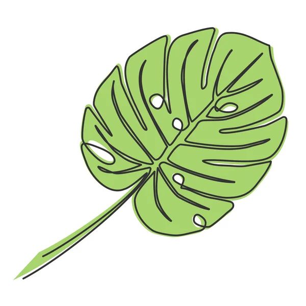 Dibujo de una sola línea de hoja de monstera — Vector de stock