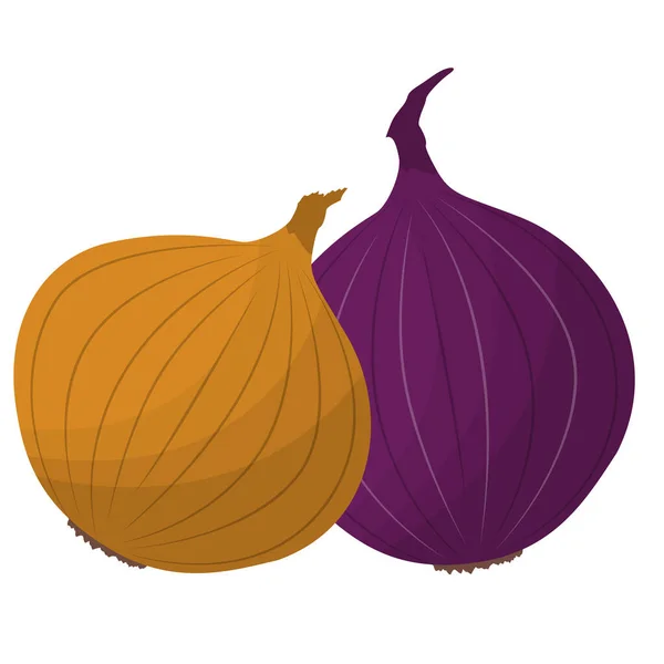 Brown Purple Onion Isolated White Background Flat Design Vector Illustration — Stock Vector