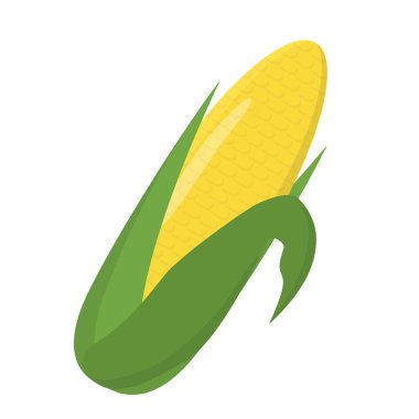 mısır koçanı beyaz arkaplanda izole edilmiş, düz tasarım vektör çizimi