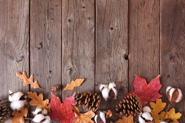 Sonbahar yaprakları ve doğal dekor. Koyu renk ahşap arka planda alt sınır. Kopyalama alanı olan üst görünüm.