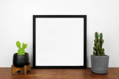 Siyah kare çerçeveyi kaktüs bitkileriyle süsleyin. Beyaz bir duvara karşı ahşap bir raf. Boşluğu kopyala.