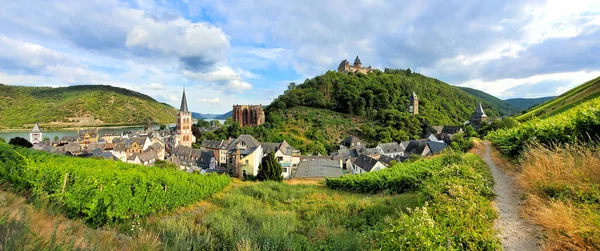 德国莱茵河畔有城堡和葡萄园的美丽村庄Bacharach的全景 — 图库照片