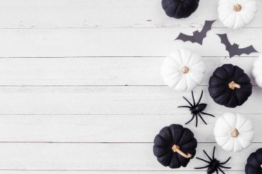 Halloween side border of black and white pumpkins with bats and spiders. Above view over a white wood banner background. Copy space.