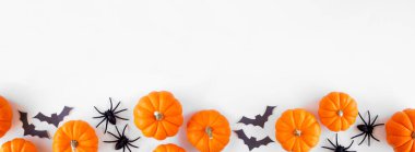 Halloween bottom border of orange pumpkins with black bats and spiders. Top down view over a white banner background. Copy space.