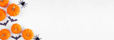 Halloween corner border of orange pumpkins with black bats and spiders. Top view over a white banner background. Copy space.