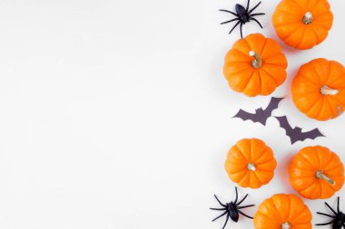 Halloween side border of orange pumpkins with black bats and spiders. Above view over a white background. Copy space.